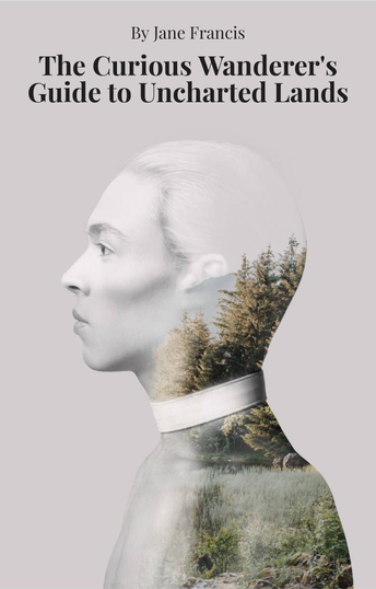 Non Fiction - The Curious